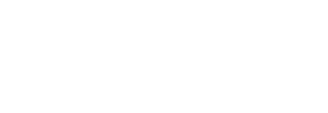 Zonzini Logo